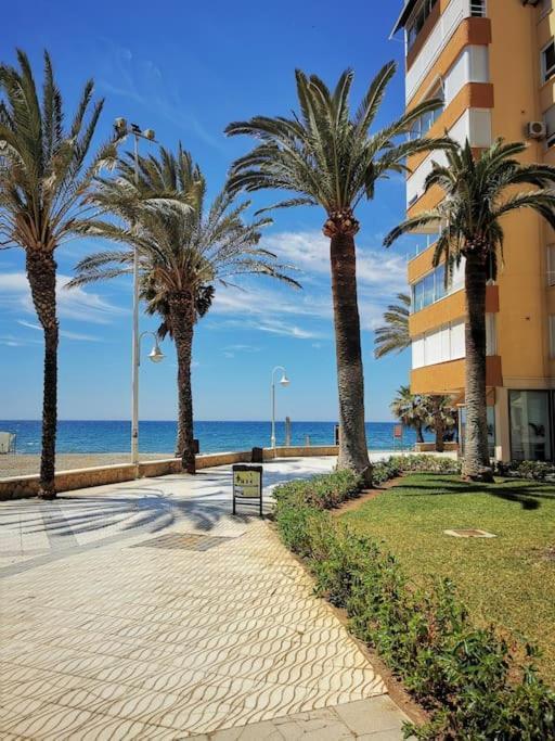 Estudio Algarrobo Costa Luaran gambar